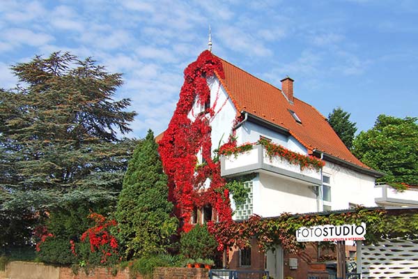 BlickFang2-Fotostudio-Weinheim-Sommergasse-33-Haus-2025-600-1.jpg